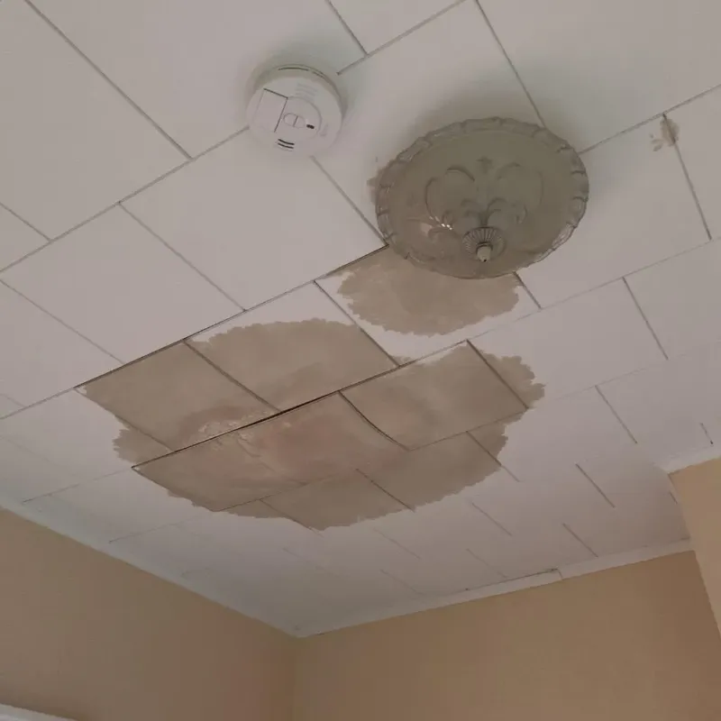 Ceiling Water Damage Repair in Denver, PA