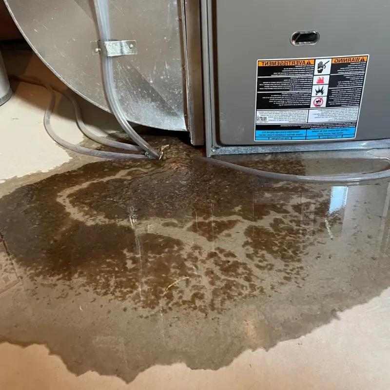 Pipe Burst and Leak Restoration in Denver, PA